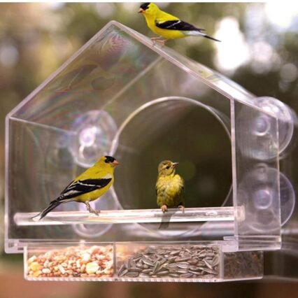 AMSAMOTION Fenster Futterhaus für Vögel, Vogelhaus Fensterscheibe mit Saugnäpfen, Futterspender für Wildvögel Bird Feeder Vogelfutterhaus Acryl mit Saugnäpfe