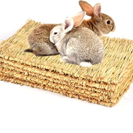 CAMITER 5 Stück Kleintier Grasmatten,Tier-Kauspielzeug, Kaninchen-Bett, Natürliche Handgewebte Grasmatte Sicher und Essbares für Hamster, Kaninchen, Papageien Meerschweinchen...