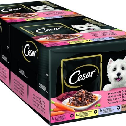 Cesar Adult Hundenassfutter Selektion in Sauce, 48 Portionsbeutel, 24x100g (2er Pack) – Ausgewogenes Premium Hundefutter nass, Auswahl mit Rind, Huhn, Lamm und Truthahn