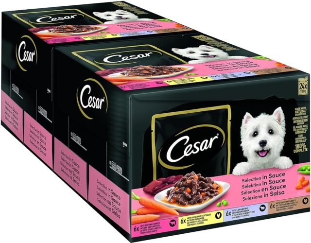 Cesar Adult Hundenassfutter Selektion in Sauce, 48 Portionsbeutel, 24x100g (2er Pack) – Ausgewogenes Premium Hundefutter nass, Auswahl mit Rind, Huhn, Lamm und Truthahn