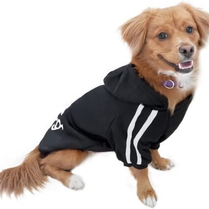 Eastlion Hund Pullover Welpen-T-Shirt Warm Pullover Mantel Pet Kleidung Bekleidung, Schwarz, Gr. XL