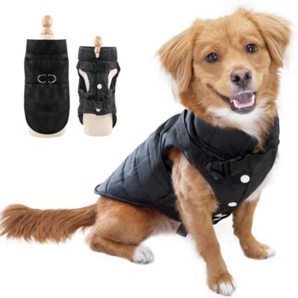 EASTLION Winter Hundemantel Warm Wasserdicht Hundejacke Welpen Hunde Kleidung Bekleidung Weste mit D-Ring,Schwarz,Größe XS