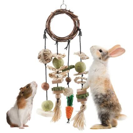 ERKOON Kaninchen Spielzeug, Rabbit Toy Kaninchenspielzeug Beschäftigung,Hasen zubehör Käfig Hängende Kauspielzeug, Hamster, Meerschweinchen