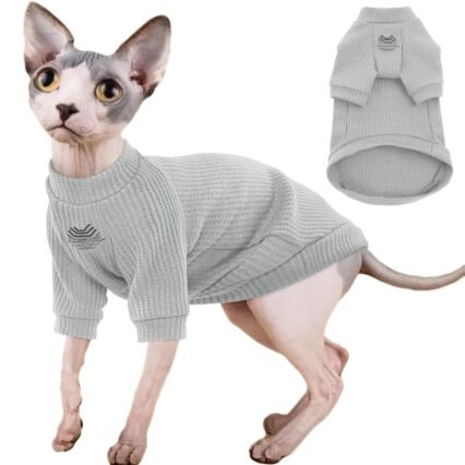 IECOii Sphynx Katzenkleidung, haarlose Katzen T-Shirts, Katzen Kleidung Weiche Baumwolle Katze Shirts für Katzen nur,Pullover Katze Pullover Weste mit Ärmeln,Für Sphynx,Cornish...