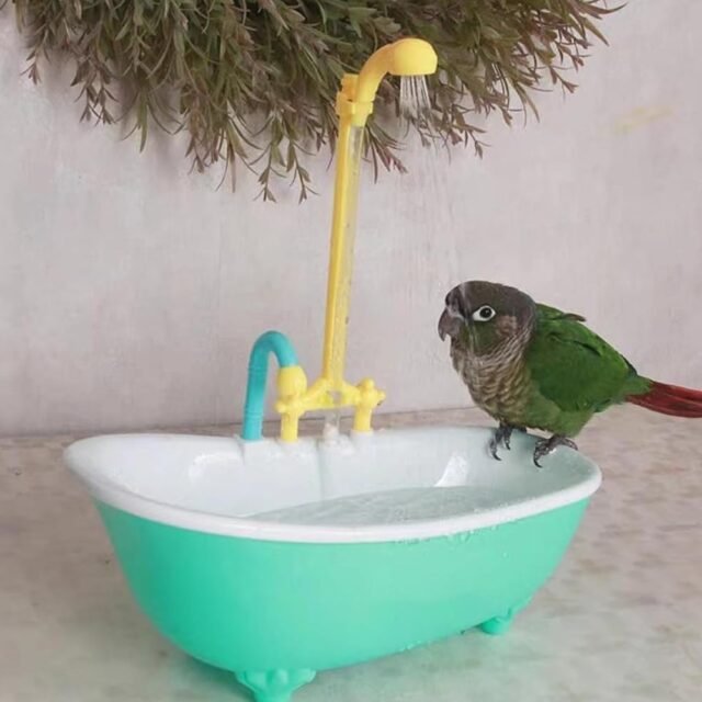 IGTOPS Automatische Vogel Badewanne, Wellensittich Badewanne Vogel Spielzeug Bad Dusche, Badezimmer Spielzeug Wasserhahn Vogel Cag Für Papagei (B)