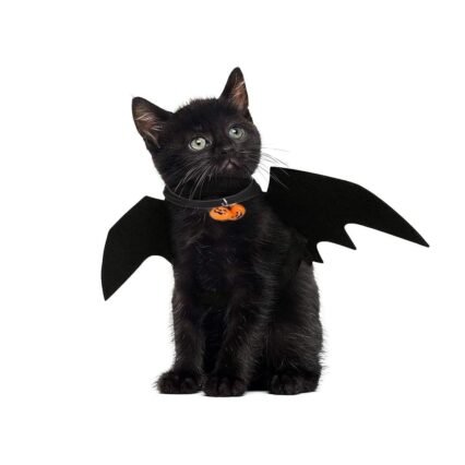 JIASHA Katze Bat Wings Kostüm, Halloween Katze Kleidung, Pet Hund Bat Wings Katze Fledermaus Kostüm，Katze Fledermaus Kostüm, Haustier Fledermausflügel mit 2Pcs Pumpkin Bell