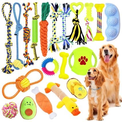 JOTOL Hundespielzeug Set,20Pcs Interaktives Spielzeug Set,100% Natürliche Baumwolle,Hundeseile für Hunde ​Zahnpflege,Interaktives Pet Rope Spielzeug für Kleine Mittlere GroßE Hunde