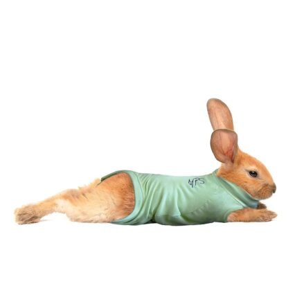 MPS Medical Pet Shirt Kaninchen, Grün, XS