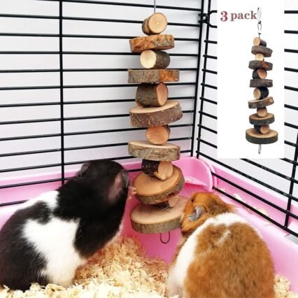 myiven Kauspielzeug aus natürlichem Bio-Apfelholz, 3 Stück, kleine Tier-Snack-Spielzeug geeignet für Kaninchen, Meerschweinchen, Hamster, Chinchilla,Zähneknirschen,