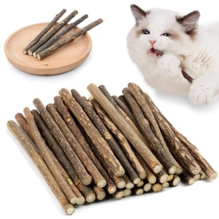 OSDUE 32 Stück Katzenminze Sticks, Matatabi-Kausticks, Katzenminze Spielzeug Katzen Kauhölzer Sticks für Katzen Zahnpflege & Gegen Mundgeruch Natürlich Sicher Katzensticks...