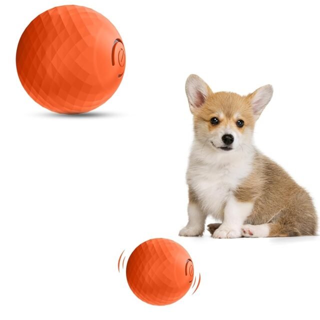 Osinaga Haustier interaktives Spielzeug, langlebige automatische Rolling Ball, IQ Training Ball für Welpen/kleine Hunde/mittlere Hunde Anti-Bite Toy Ball, USB aufladbar (Rot)