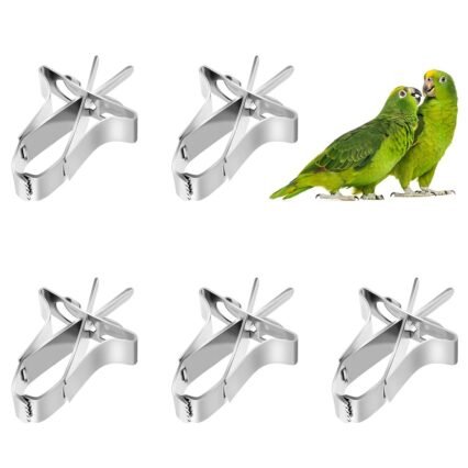 Papageien Obst Gemüse Feeder Clip 5 Stück Vögel Futterhalter Feeder Gerät Vogelkäfig Zubehör Metall Clips für Sittiche Wellensittiche Nymphensittiche