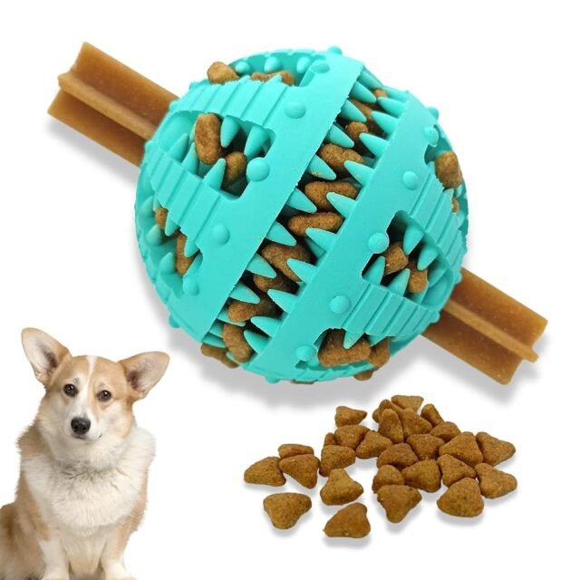 PawsOnly Hundeball für Kleine Große Hunde | Futterball für Hunde | Welpenspielzeug | Naturkautschuk | Zahnpflege Hunde Spielsachen | Hundespielzeug Intelligenz Ball (Klein 6 cm,...