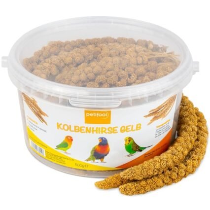 petifool Kolbenhirse gelb 500g - Einzelfuttermittel für alle Ziervögel - Vogelfutter - 100% Natur