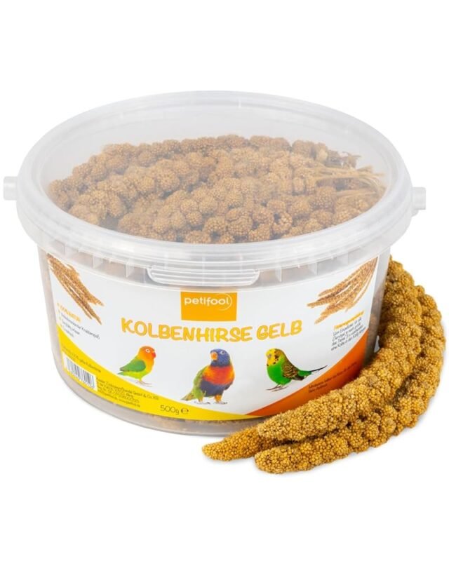 petifool Kolbenhirse gelb 500g - Einzelfuttermittel für alle Ziervögel - Vogelfutter - 100% Natur