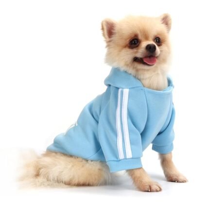 QiCheng&LYS Hundemantel Hund Hoodies Kleidung, Pet Puppy Katze Niedlicher Baumwoll Warm Hoodies Coat Pullover (Blau, L)