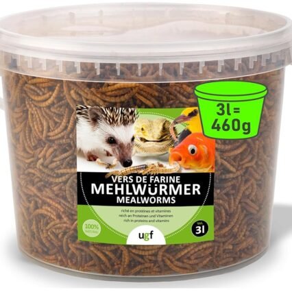 UGF - Premium Mehlwürmer getrocknet 3 Liter Eimer - 460g, Vogelfutter Wildvögel Ganzjährig, Igelfutter, Eichhörnchen Futter, Hamster Futter