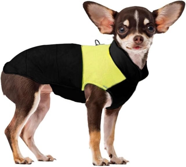 Voarge Winter Warm Pet Hund Kleidung, wasserdichte Hundemanteljacke, Haustier Kleidung Winterjacke Hunde Mantel für Kleine Mittlere Große Hunde (Gelb, S)