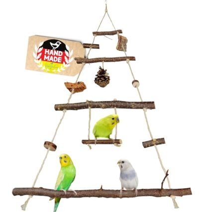 Vogelgaleria® Vogelspielplatz Vogelschaukel aus Naturholz | XXL Wellensittich Schaukel | kleines Papageienspielzeug | Wellensittich Spielzeug Nymphensittich | Wellensittich...